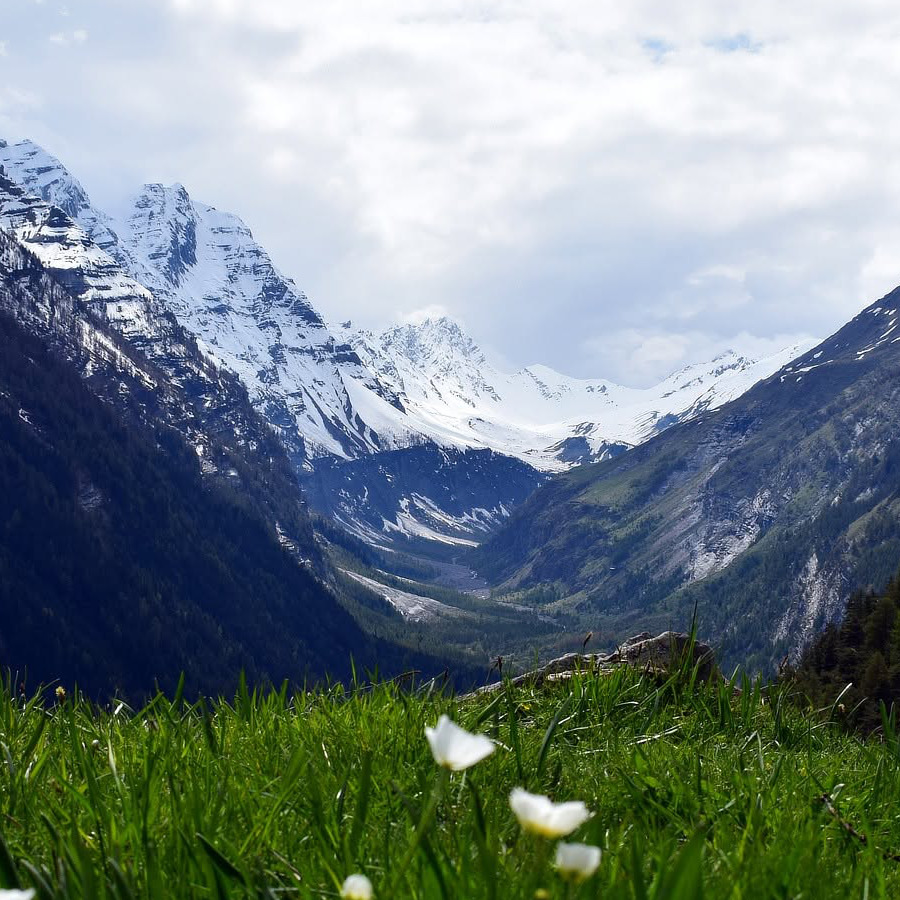 Vallon du Fournel